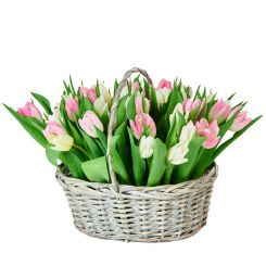 Экспозиция весны букет с тюльпанами